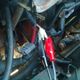 Illustration for article titled My Brothers Saab and My Mustang Just Had Similar Failures